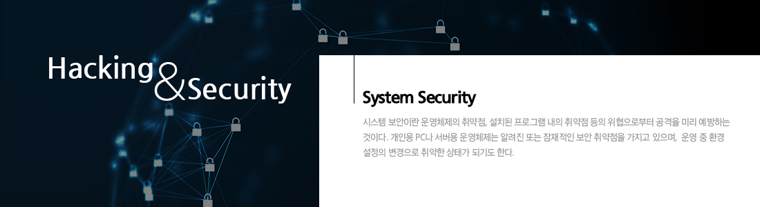 시스템 해킹 & 보안